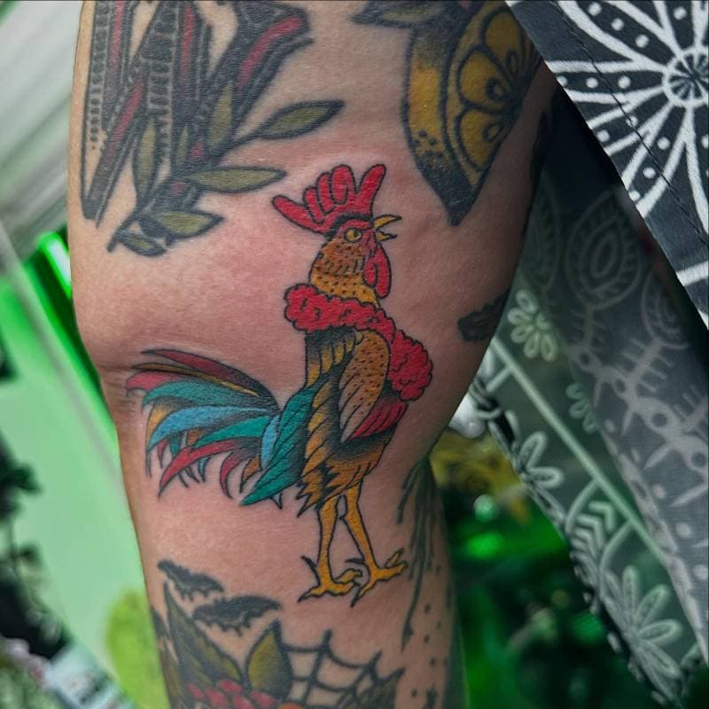 Julian portfolio work